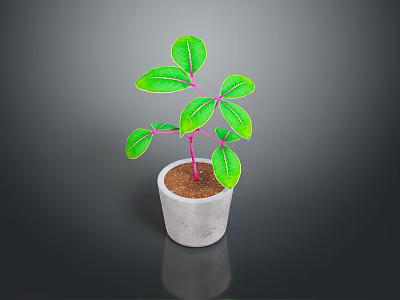 Green Leaf Plant With Pink Stem In Gray Concrete Pot On Dark Background 3d model