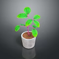 Green Leaf Plant With Pink Stem In Gray Concrete Pot On Dark Background