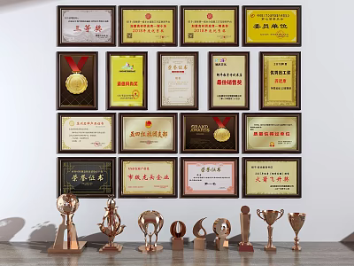 Elegant Trophy And Award Collection With Wall Mounted Display And Shelf Arrangement 3d model