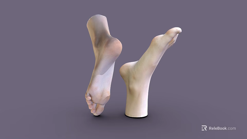 Man's Realistic Feet 3D Model with Light Color and Gray Background 3d model 