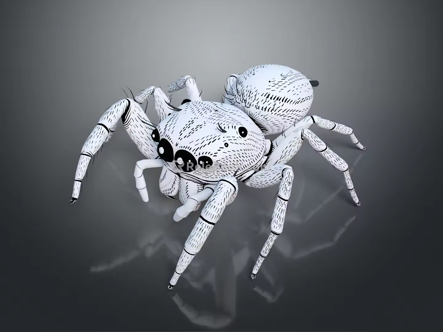 modern spider poisonous spider large spider reptile 3d model