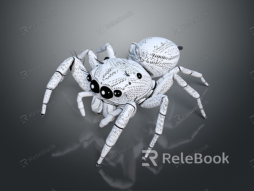 modern spider poisonous spider large spider reptile model