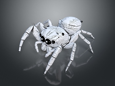 modern spider poisonous spider large spider reptile model