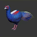 Colorful Flying Animal With Red Head Blue Body Feathers White Patches And Red Legs