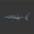 Large Spotted Whale Shark With Small Fish In Realistic Marine Scene