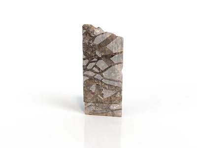 Natural Wood Like Stone Block With Brown Gray Textured Surface For Decorative Use 3d model