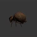 Realistic Brown Ant With Spiky Back Hairs Long Antennae And Slender Legs