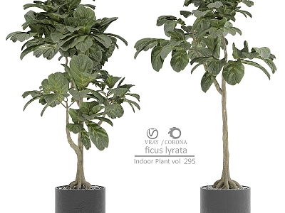 Modern Bonsai Indoor Plant Indoor Plant Flower Pot 3d model