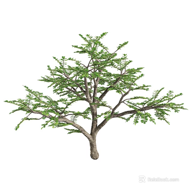 Lush Arbor With Green Leaves Thick Trunk And Spreading Branches 3d model 