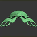 Green Leaf Shaped Insect Model With Glossy Texture On Black Background