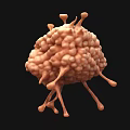 Detailed 3D Virus Structure Model With Spikes For Scientific Visualization