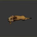 Detailed Yellow Lion Figurine With Mane In Standing Pose On Shiny Surface
