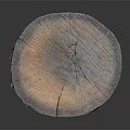 Rustic Wooden Tree Stump Decorative Piece With Round Surface And Natural Growth Rings