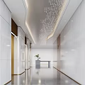 Modern Elevator Hallway Design With White Walls Gold Accents Ceiling Dot Lights And Green Plant