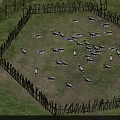Ancient Architecture Traditional Wooden Fence Circular Enclosure With Sheep Grazing On Green Grassland