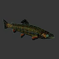 Colorful Decorative Fish Figurine With Vibrant Green Red Orange Hues For Home Decor