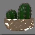 Modern Decorative Ornament Set With Green Cactus Plants In Golden Textured Bowl