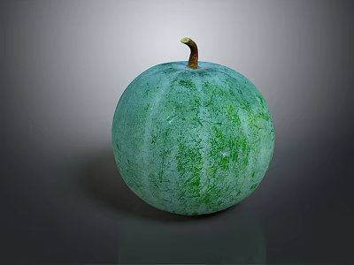 Green Round Melon With Textured Surface And Brown Stem On Dark Background 3d model