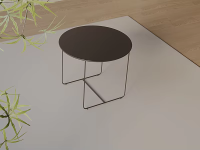 Modern Round Top Side Table With Metal Frame And Green Plants On Carpet 3d model
