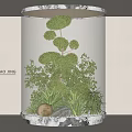 Indoor Residential Landscape With Transparent Cylindrical Container Trimmed Spherical Green Plants Stones And Lighting