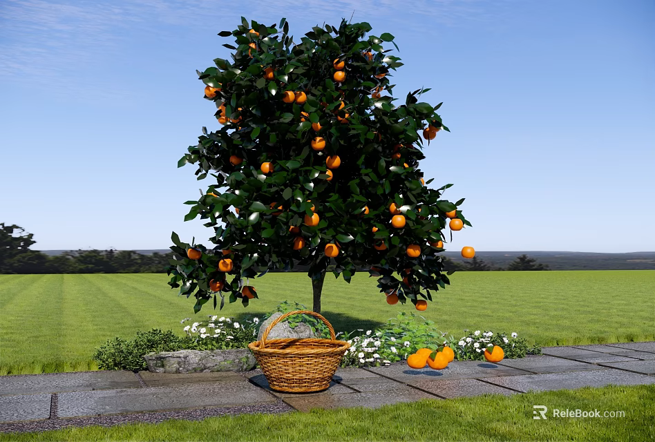 Orange Tree Full of Ripe Oranges with Basket on Stone Path in Green Grassland 3d model 