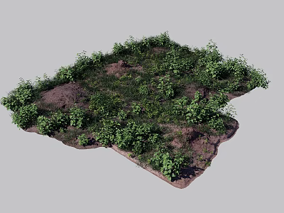 Lush Green Ground Cover Plants Growing On Natural Soil Surface Area 3d model