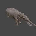 Realistic Gray Elephant 3D Model With Long Trunk Tusks And Detailed Skin Texture