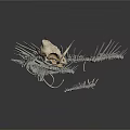 Metallic Animal Skeleton Model With Intricate Wing Structure And Bone Details