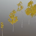 Five Trees with Various Shapes Yellow Leaves and White Trunks Against Gray Background