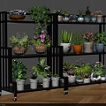 Multi tiered Mobile Plant Stand with Various Potted Greenery and Flowers for Indoor Garden Accents