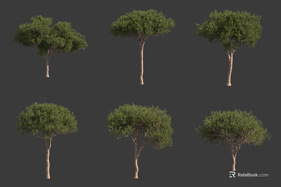 Various Arbor Trees With Green Canopies And Brown Trunks For Landscape Design 3d model 