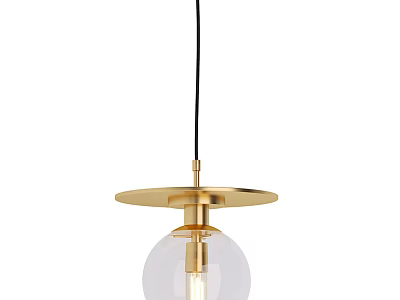 Modern Hanging Pendant Light With Gold Metal Frame And Transparent Glass Globe 3d model