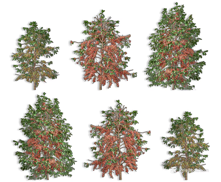 Various Arbor Trees With Green Foliage And Red Blooms For Landscape 3d model 