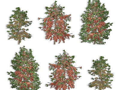 Various Arbor Trees With Green Foliage And Red Blooms For Landscape 3d model