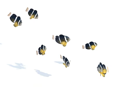 A School of Clownfish Swimming with Black White and Yellow Stripes in Water 3d model