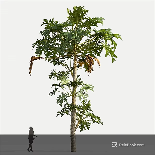 Tall Arbor With Lush Green Leaves Withered Foliage And Human Figure For Scale 3d model 