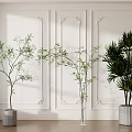 Potted Bonsai Plants With Green Foliage Palm Leaves On Wooden Floor Against White Decorative Wall