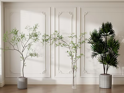 Potted Bonsai Plants With Green Foliage Palm Leaves On Wooden Floor Against White Decorative Wall 3d model