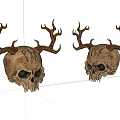 Medical Teaching Skull Models With Antlers For Educational Training Purposes