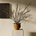 Quiet Vase with Dried Branches 3d model
