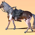 Standing Brown And White Horse With Gray Mane Tail Saddle Bridle On Orange Background