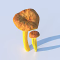 Two Yellow Mushrooms Standing On Gray Ground With Blue Sky Background 3d model