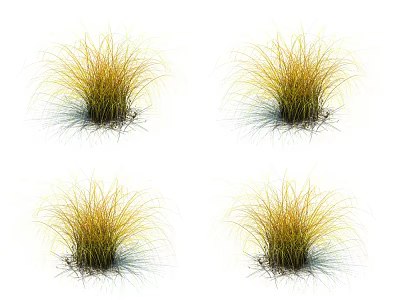Yellow Grass Clumps with Slender Leaves and Rooted Soil for Garden Decoration 3d model