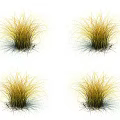Yellow Grass Clumps with Slender Leaves and Rooted Soil for Garden Decoration