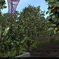 Garden Landscape Featuring Orange Trees Banana Plants And Pink Tower Under Blue Sky