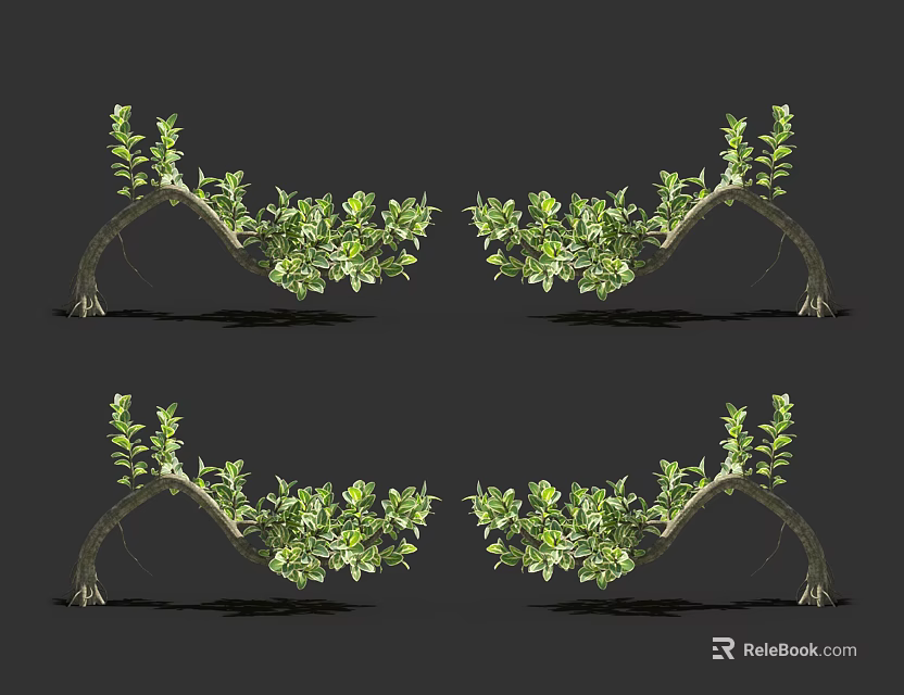 Ornamental Arbor With Curved Branches And Lush Green Foliage For Garden Decoration 3d model 