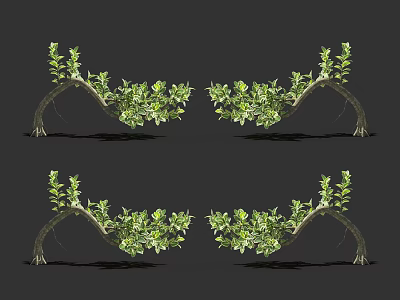 Ornamental Arbor With Curved Branches And Lush Green Foliage For Garden Decoration 3d model