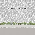 Elegant Modern Decorative Lights For Fashion Clothing Display With Cacti Plants