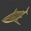 Detailed Shark 3D Model with Realistic Features and Smooth Texture on Dark Background 3d model