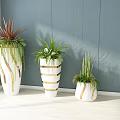 Bonsai Potted Plants In White Gold Striped Pots With Various Green Foliage Against Gray Wall